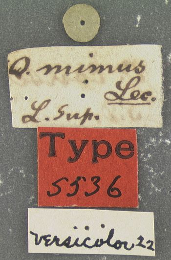 Media type: image;   Entomology 5536 Aspect: labels